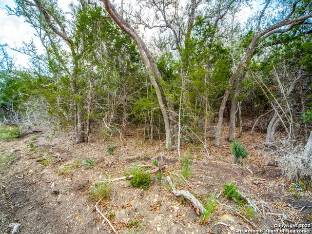 708 Sharp Springs Bulverde, TX 78163
