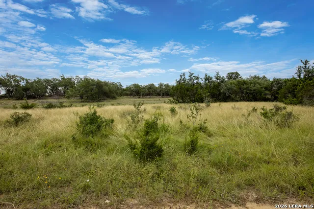 664 TRAVIS FOREST DR Bulverde, TX 78163