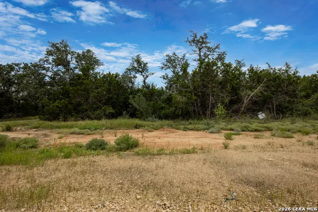 664 TRAVIS FOREST DR Bulverde, TX 78163