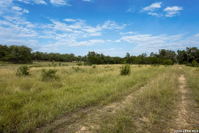 664 TRAVIS FOREST DR Bulverde, TX 78163