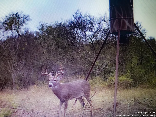 1400 FM 1343 Castroville, TX 78009