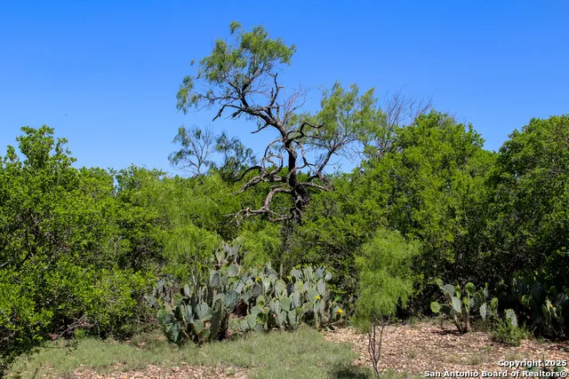 1400 FM 1343 Castroville, TX 78009
