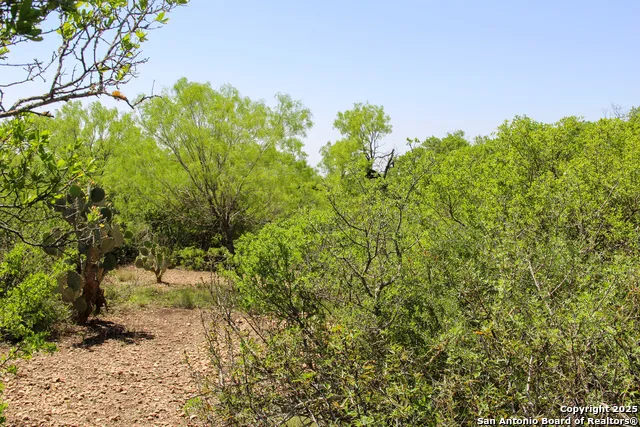 1400 FM 1343 Castroville, TX 78009