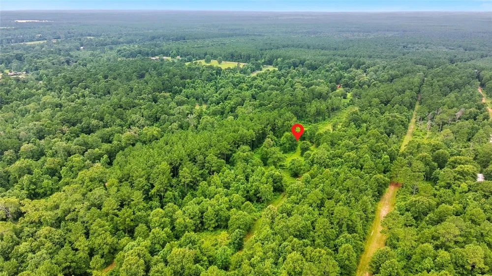 1151 County Line Road Shepherd, TX 77371