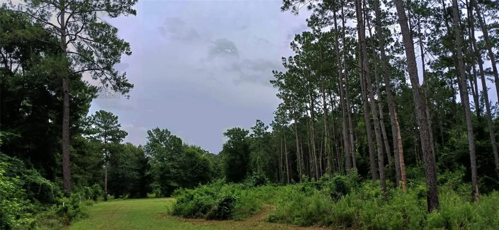 1151 County Line Road Shepherd, TX 77371