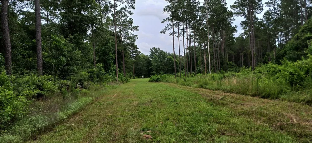 1151 County Line Road Shepherd, TX 77371