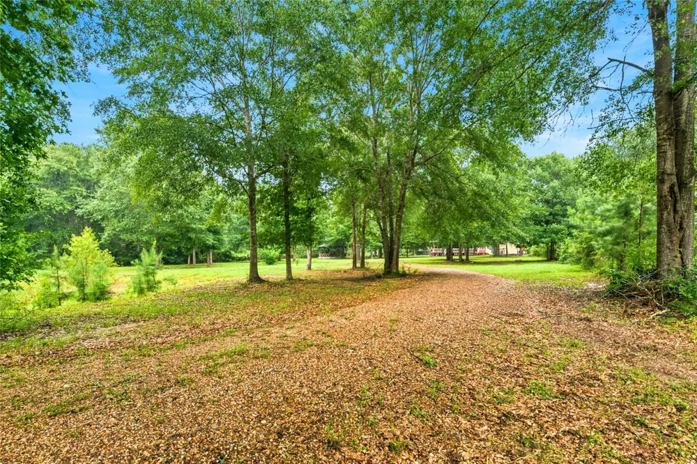 1151 County Line Road Shepherd, TX 77371