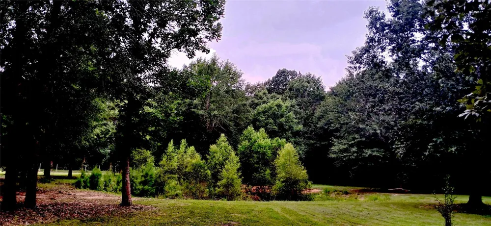1151 County Line Road Shepherd, TX 77371