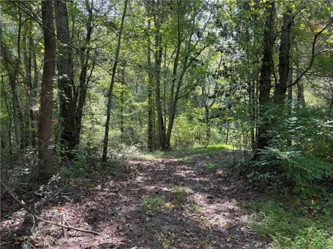 6485 Forsyth Drive