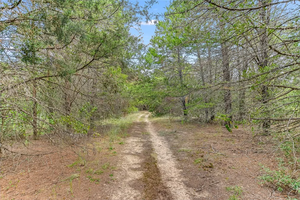 741 Knobbs Road McDade, TX 78650