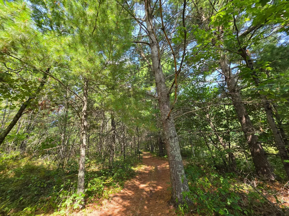 3307 State Road 77 Danbury, WI 54830