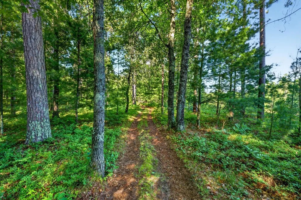 3307 State Road 77 Danbury, WI 54830