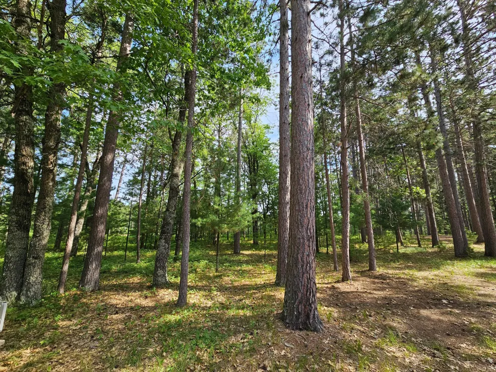 3307 State Road 77 Danbury, WI 54830