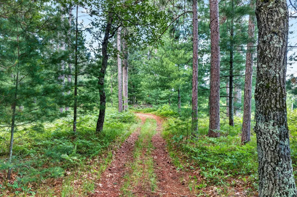 3307 State Road 77 Danbury, WI 54830
