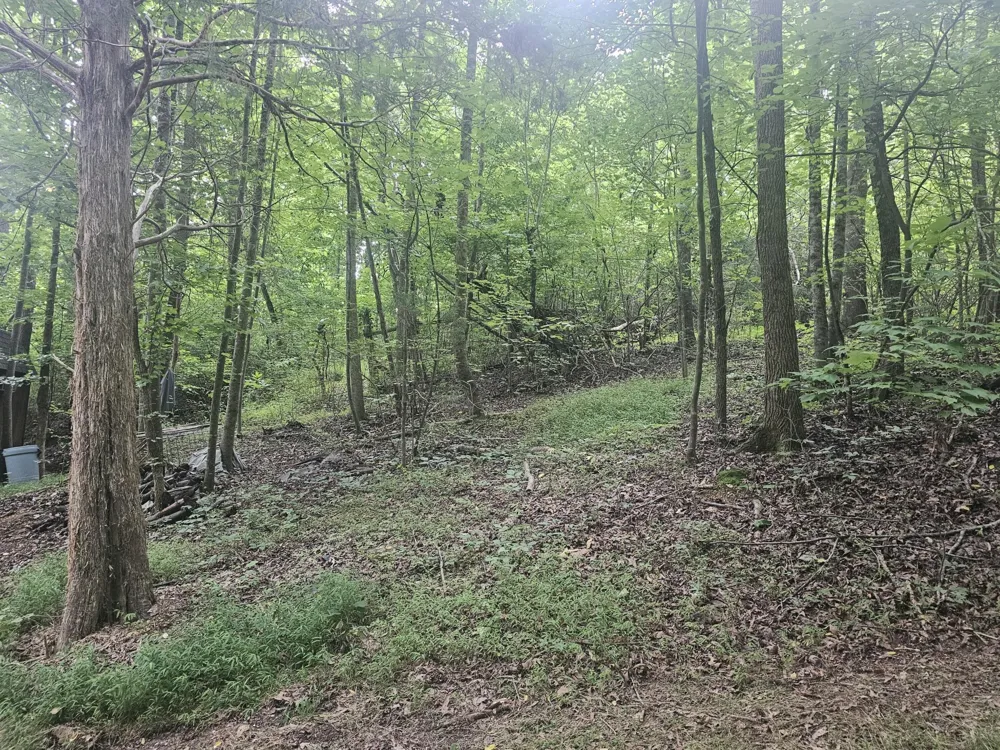 658 Corvin Road NE Cleveland, TN 37323