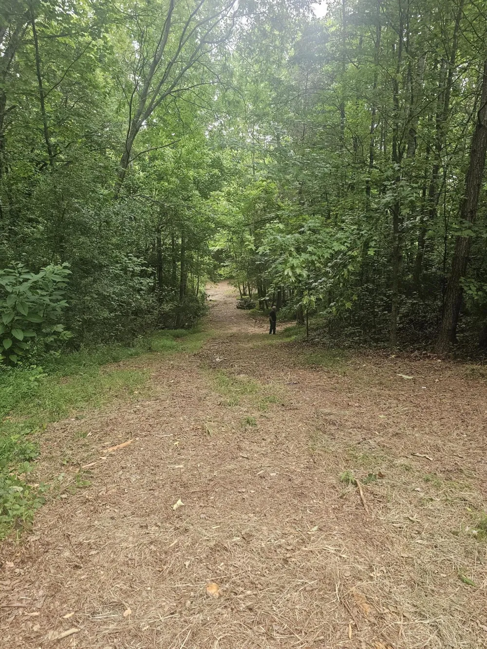 658 Corvin Road NE Cleveland, TN 37323