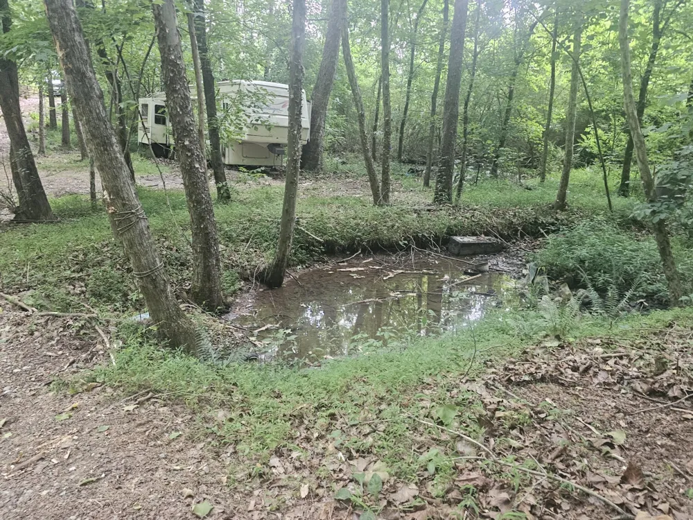 658 Corvin Road NE Cleveland, TN 37323