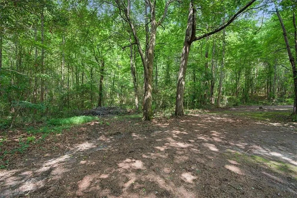 994 Rainey Rd Temple, GA 30179