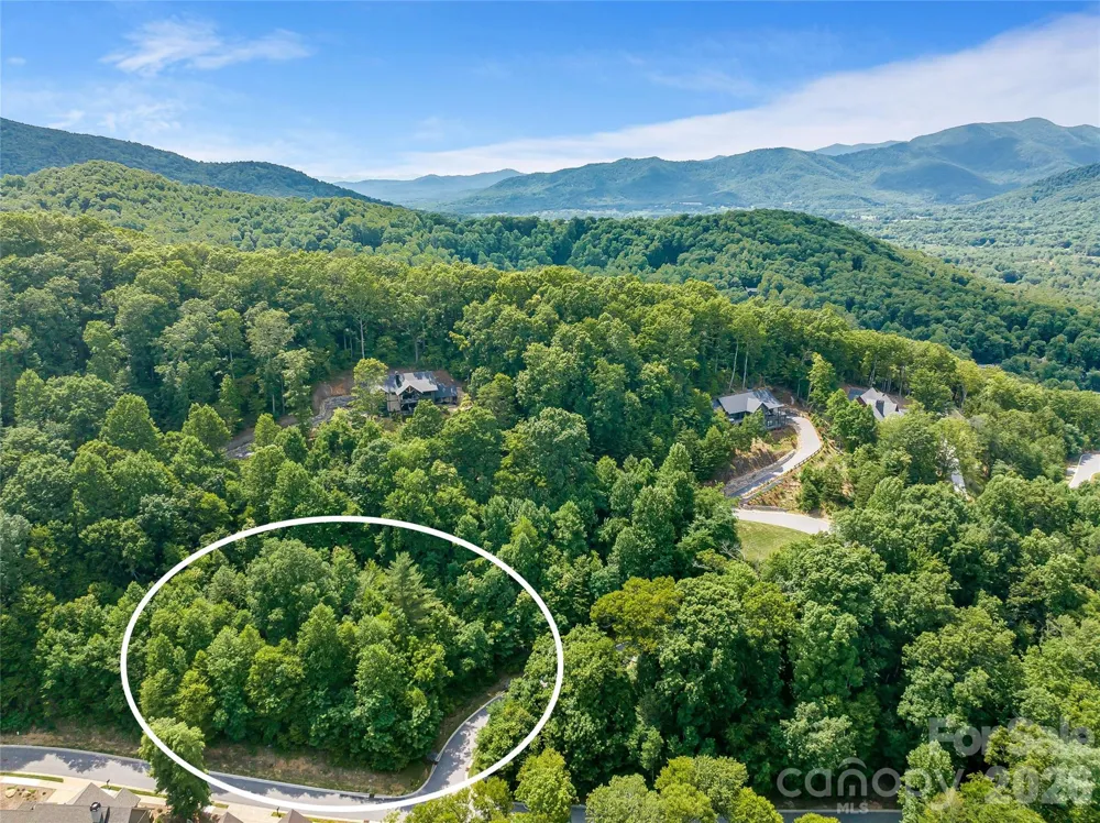 53 Old Lafayette Lane Black Mountain, NC 28711