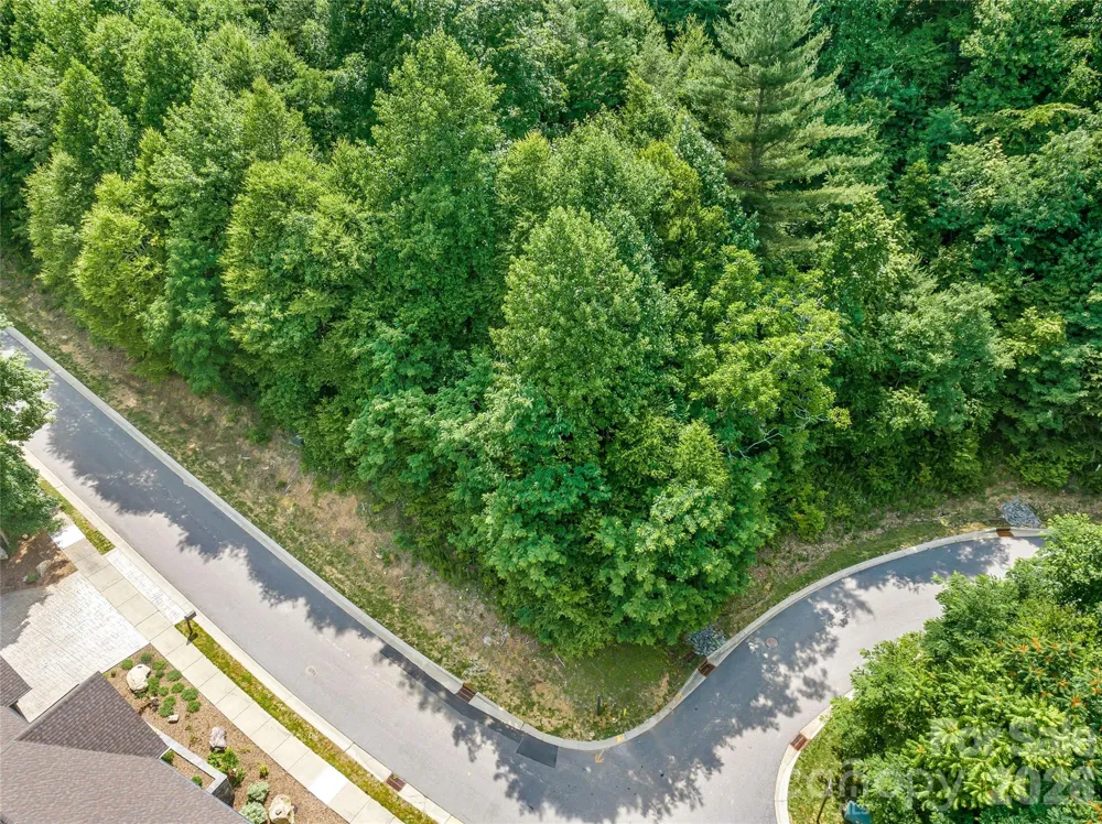53 Old Lafayette Lane Black Mountain, NC 28711