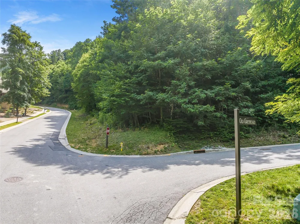 53 Old Lafayette Lane Black Mountain, NC 28711