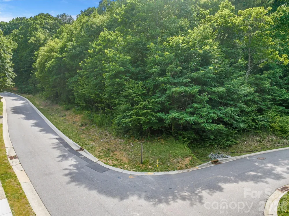 53 Old Lafayette Lane Black Mountain, NC 28711