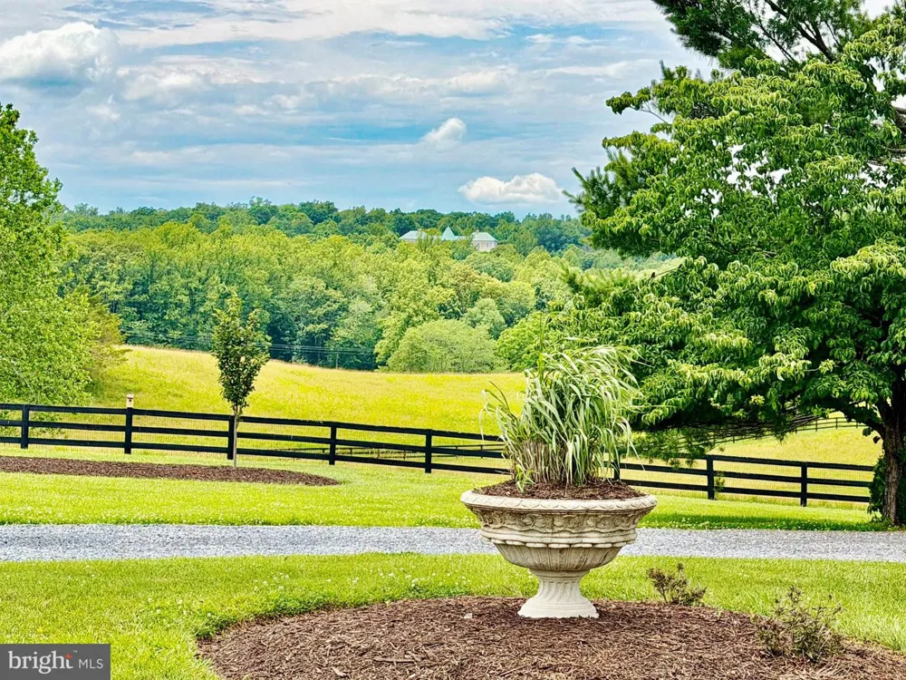 10590 MOUNTAIN SHADOW LANE Marshall, VA 20115