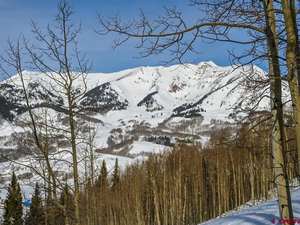 103 Anthracite Drive Crested Butte, CO 81225