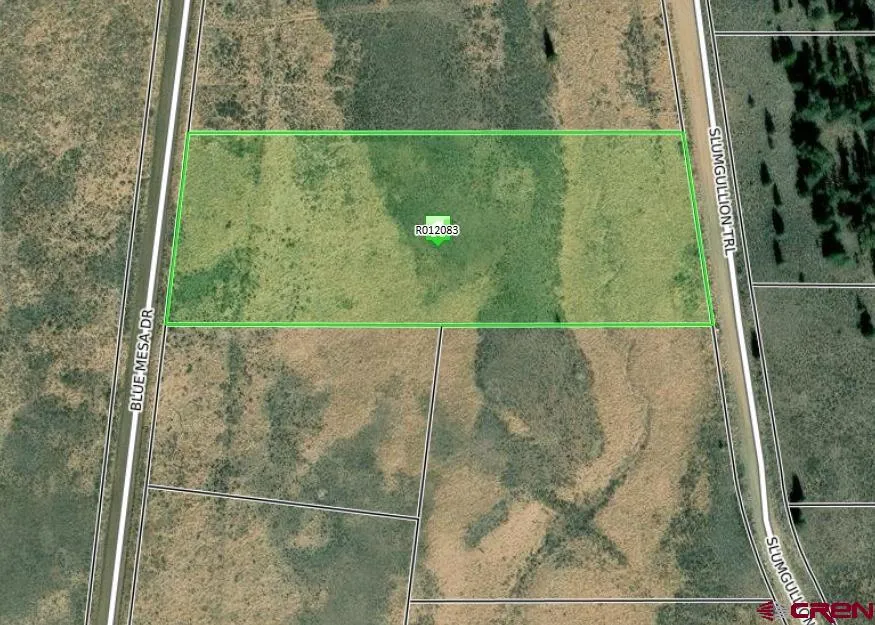 1411 Slumgullion Trail Powderhorn, CO 81243