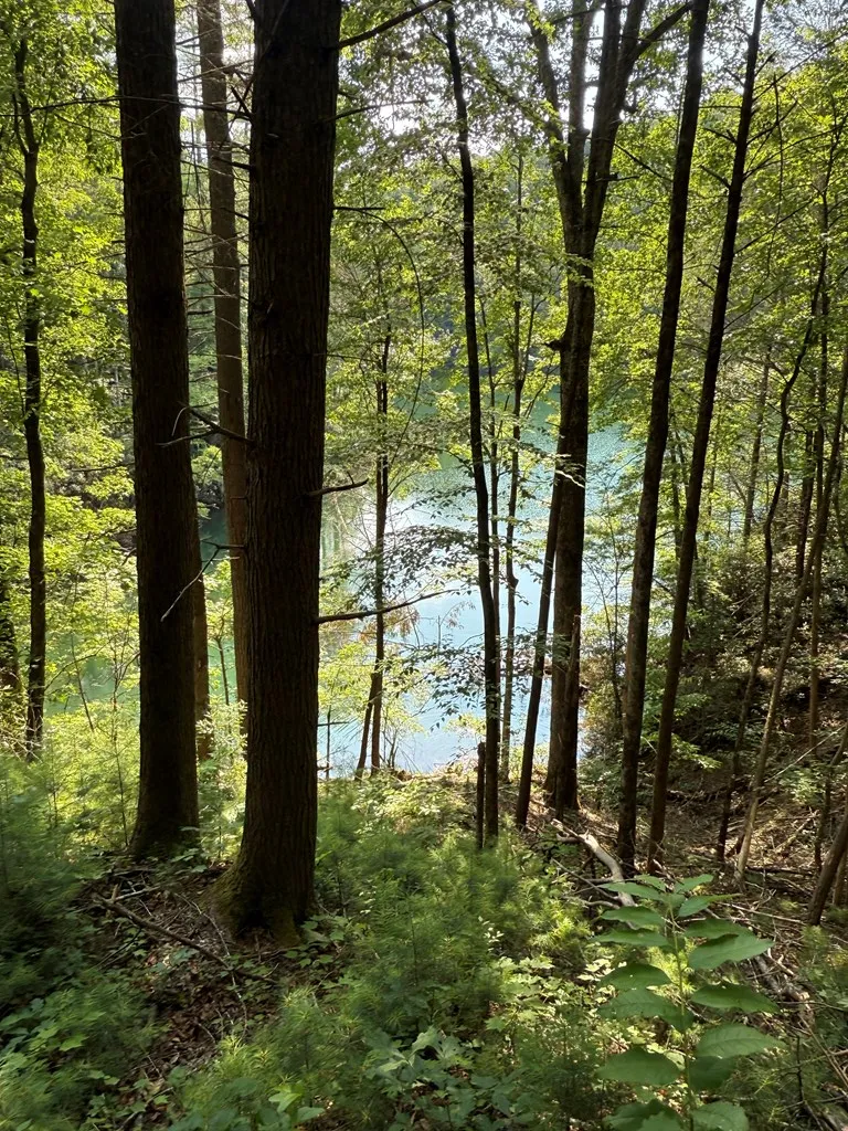 00 Berry Patch Road Murphy, NC 28906