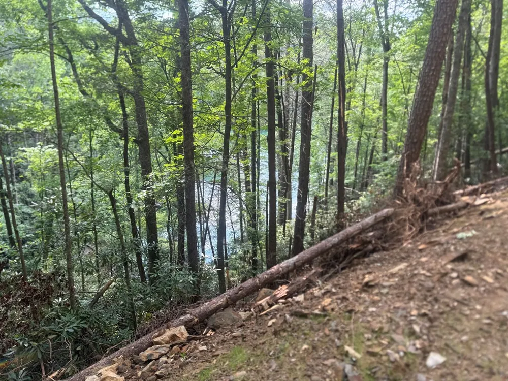 00 Berry Patch Road Murphy, NC 28906
