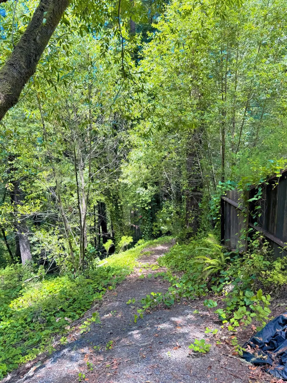 18475 Old Monte Rio Road Guerneville, CA 95446