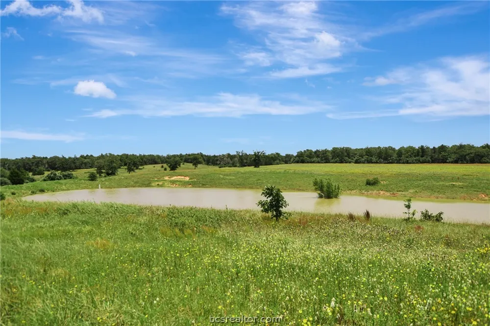 849 COUNTY ROAD 331A ROAD Milano, TX 76556