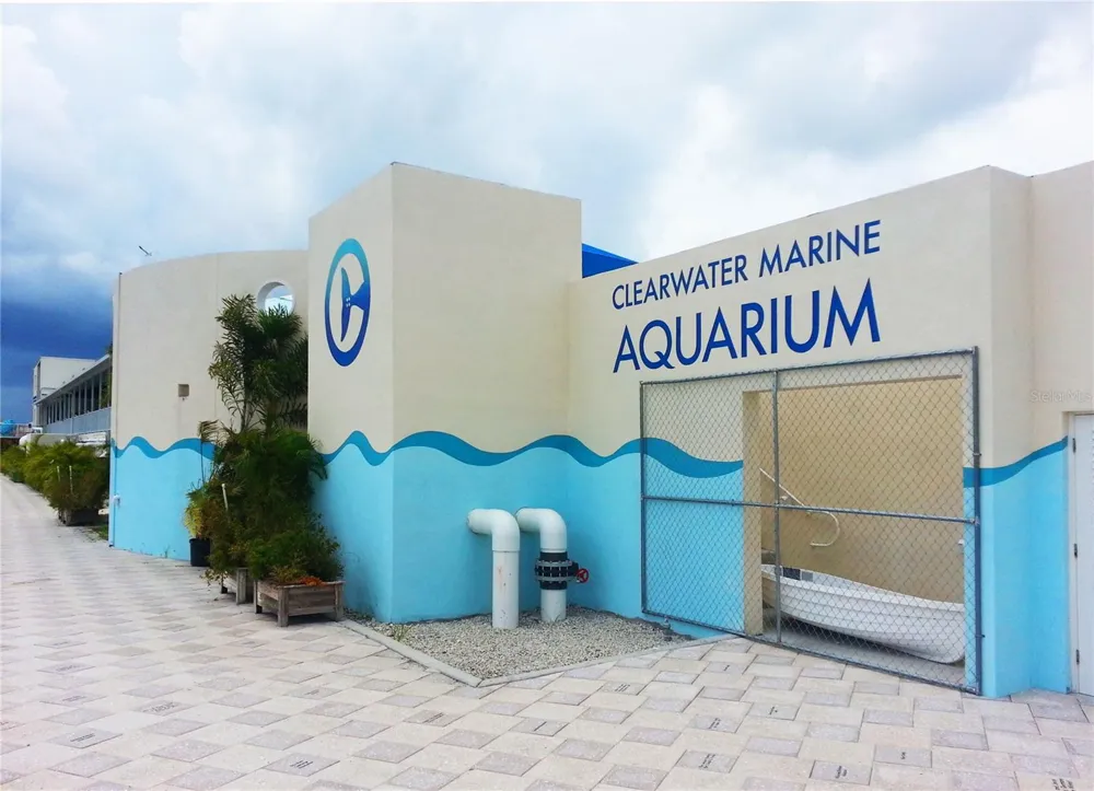 101 HARRISON AVENUE Belleair Beach, FL 33786