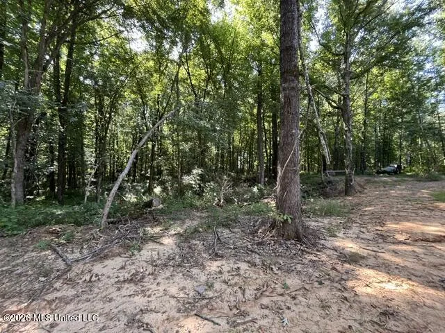 1970 Smart Road Como, MS 38619
