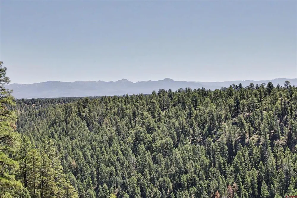 2180 Backcountry Drive Pagosa Springs, CO 81147