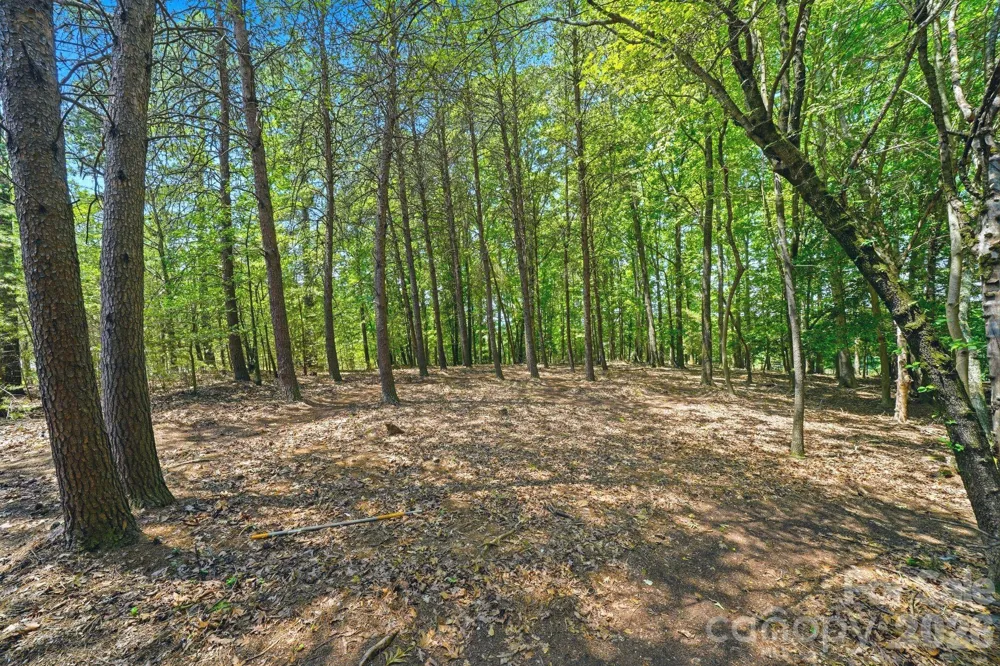 1324 Reflection Pointe Boulevard Belmont, NC 28012