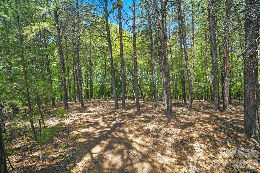 1324 Reflection Pointe Boulevard Belmont, NC 28012