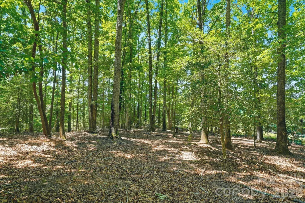 1324 Reflection Pointe Boulevard Belmont, NC 28012
