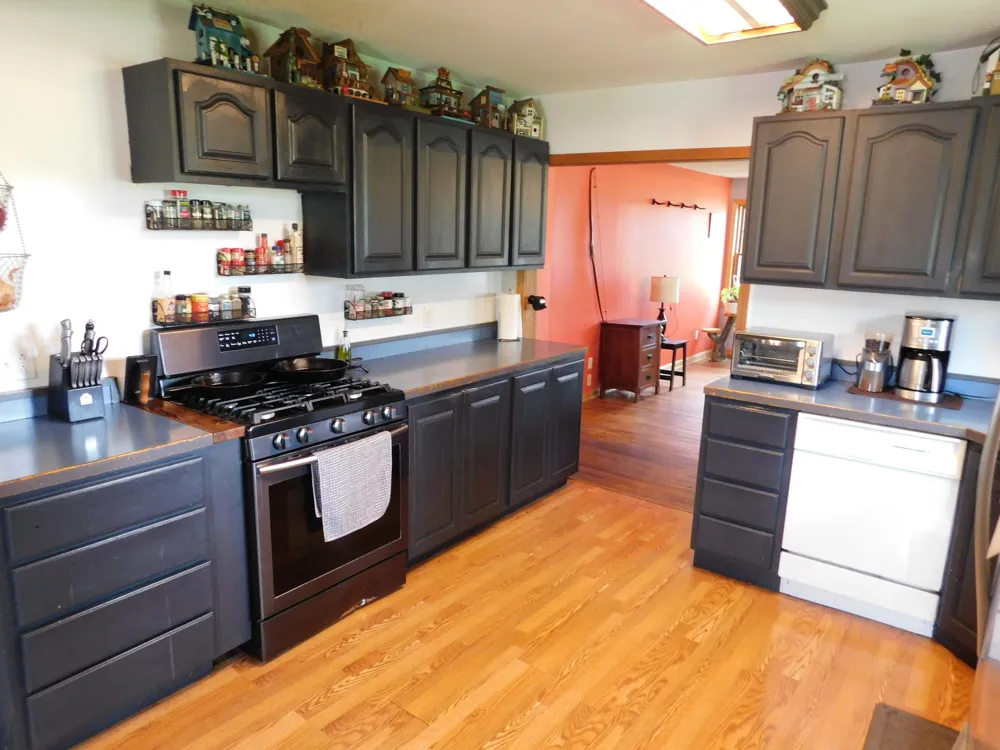 11518 Chippewa Highway Bear Lake, MI 49614