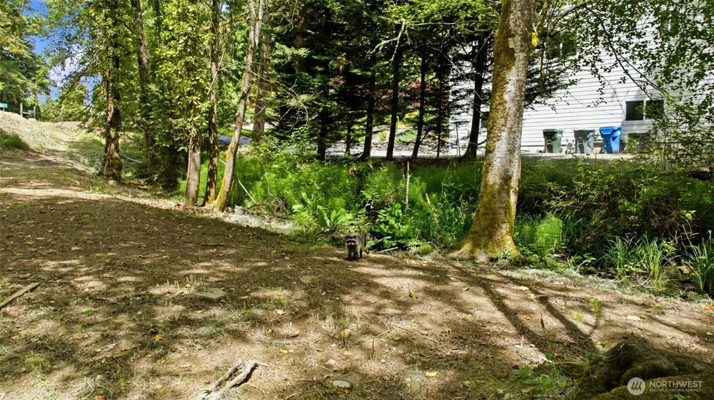 54 Raft Island Drive NW Gig Harbor, WA 98335