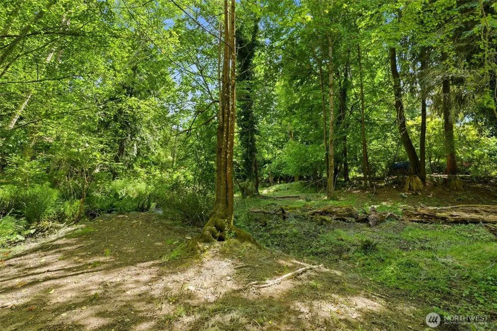 54 Raft Island Drive NW Gig Harbor, WA 98335
