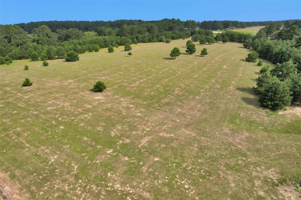 Sh 249/County Road 307 Navasota, TX 77868