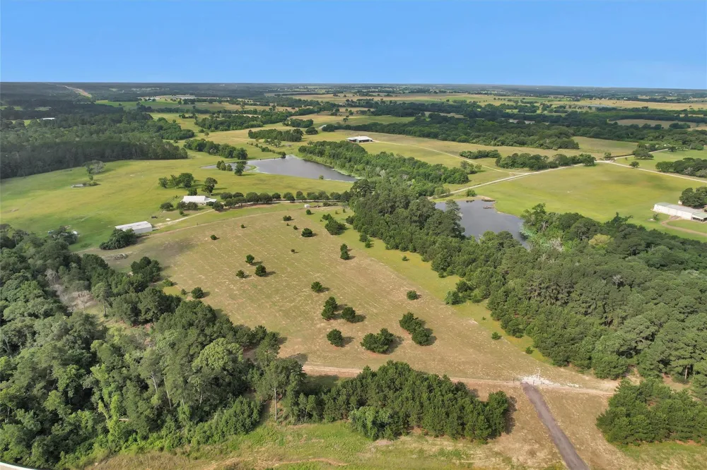 Sh 249/County Road 307 Navasota, TX 77868