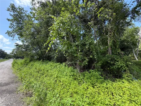97 Lost Forest Drive