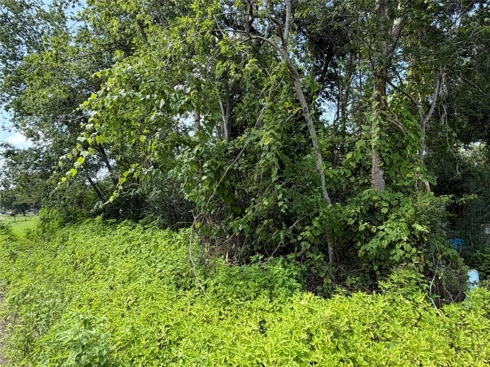 97 Lost Forest Drive Guy, TX 77444