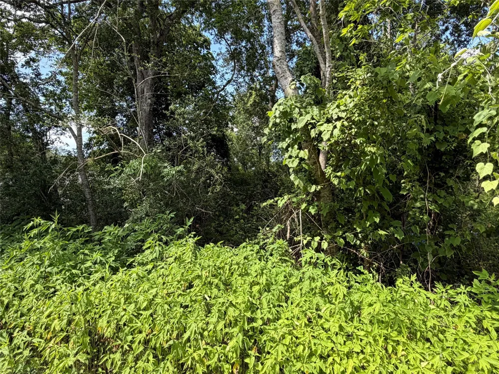 97 Lost Forest Drive Guy, TX 77444