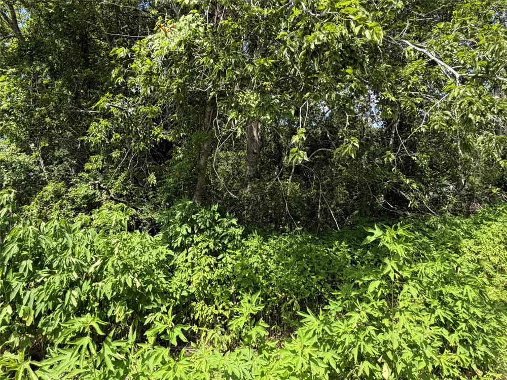 97 Lost Forest Drive Guy, TX 77444