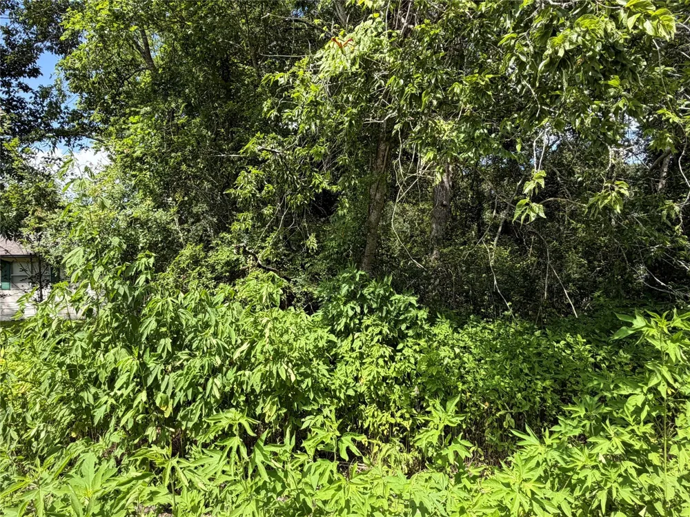 97 Lost Forest Drive Guy, TX 77444