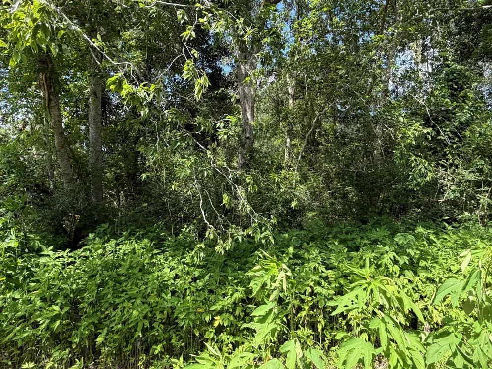97 Lost Forest Drive Guy, TX 77444